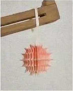 Spiky roz-piersică, în soare